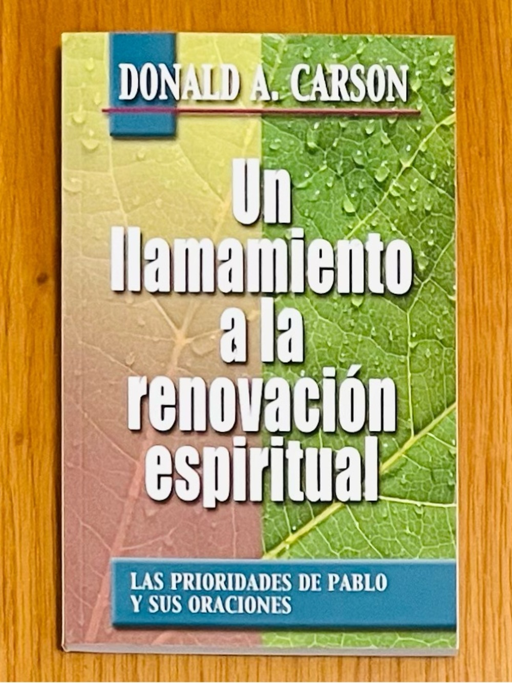 Un Llamamiento A La Renovacion Espiritual by Donald A Carson (1992, Andamio Pub)